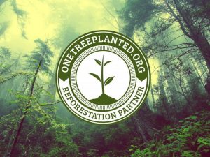 solocube-becomes-reforestation-partner-with-one-tree-planted-1280x720-1
